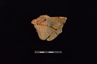 陶片藏品圖，第2張